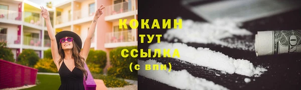 спиды Дмитриев