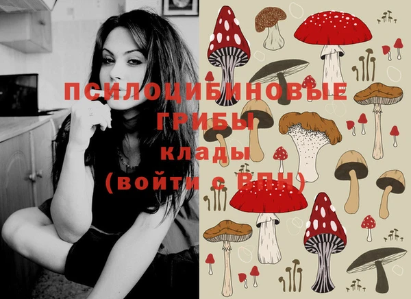 mix Дмитров