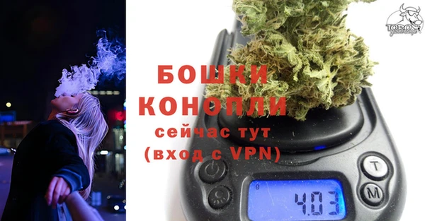 спиды Дмитриев